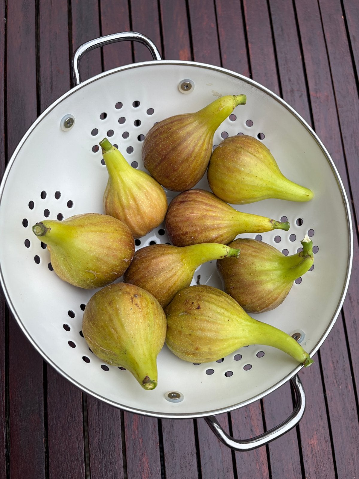Verse vijgen, bio, eigen kweek, Tuin en Terras, Planten | Fruitbomen, Ophalen, Vijgenboom