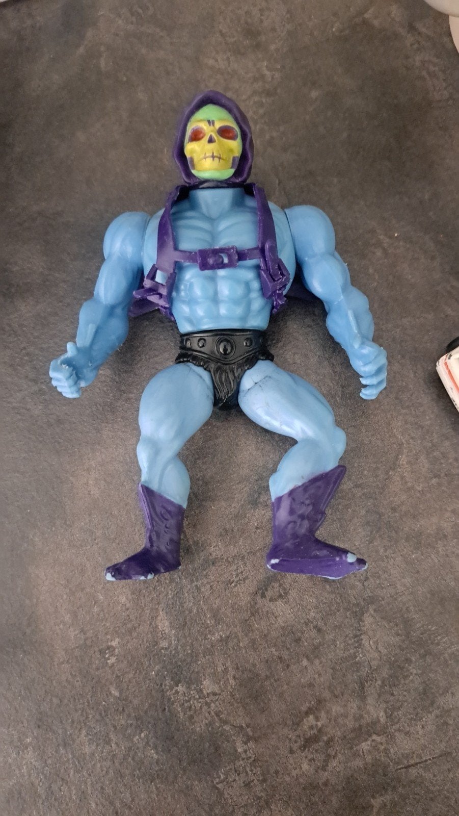 skeletor, Ophalen of Verzenden