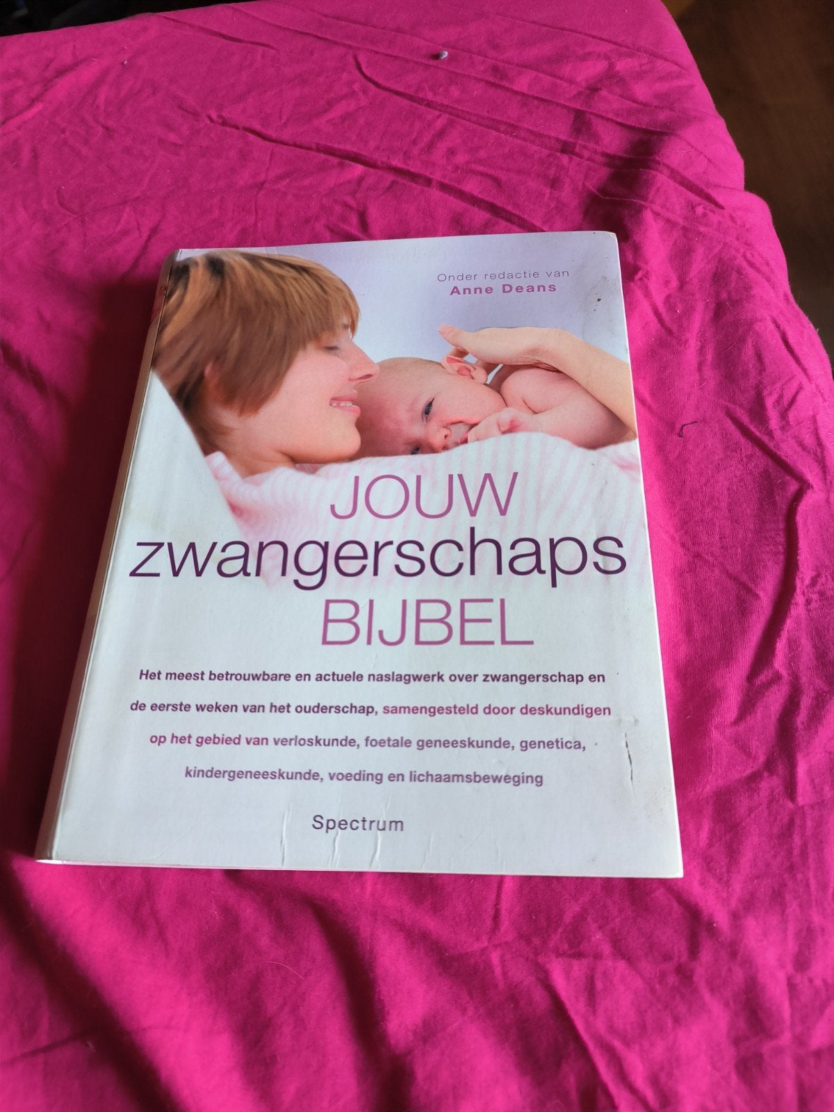 Zwangerschapsbijbel dik boek, Boeken, Zwangerschap en Opvoeding, Ophalen of Verzenden
