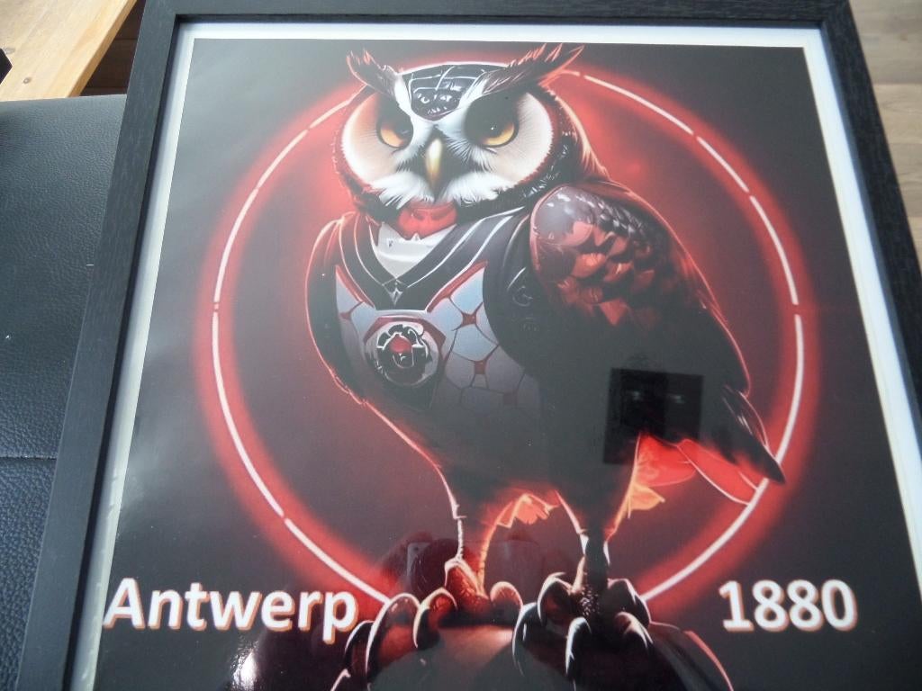 "RAFC" EXCLUSIEVE STICKER IN KADER, Ophalen, Zo goed als nieuw, Poster, Plaatje of Sticker