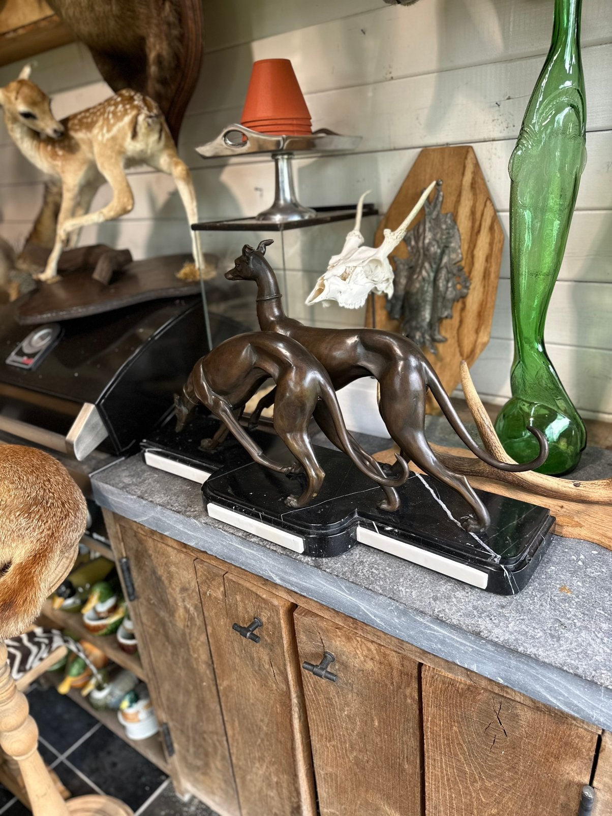 Antiek curiosa jacht trofee taxidermie opgezette dieren, Ophalen
