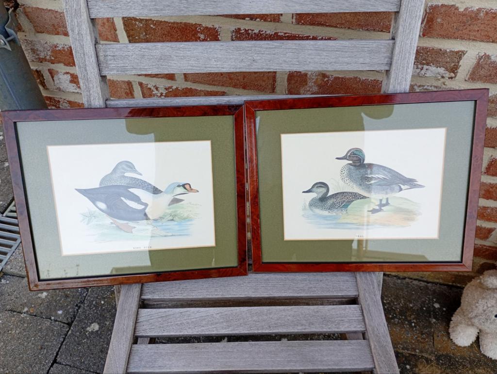 Antieke handgekleurde gravures, Ophalen of Verzenden