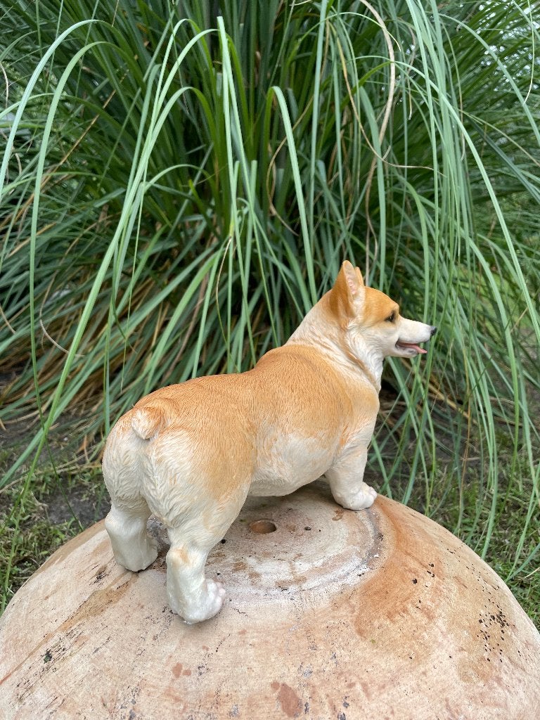 Welsh Corgi hond zittend, gazon, tuin 50cm, Ophalen of Verzenden, Nieuw, Kunststof, Dierenbeeld