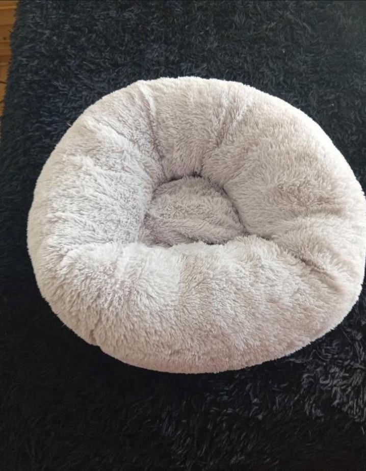 panier à beignets pour chat ou chien, Enlèvement