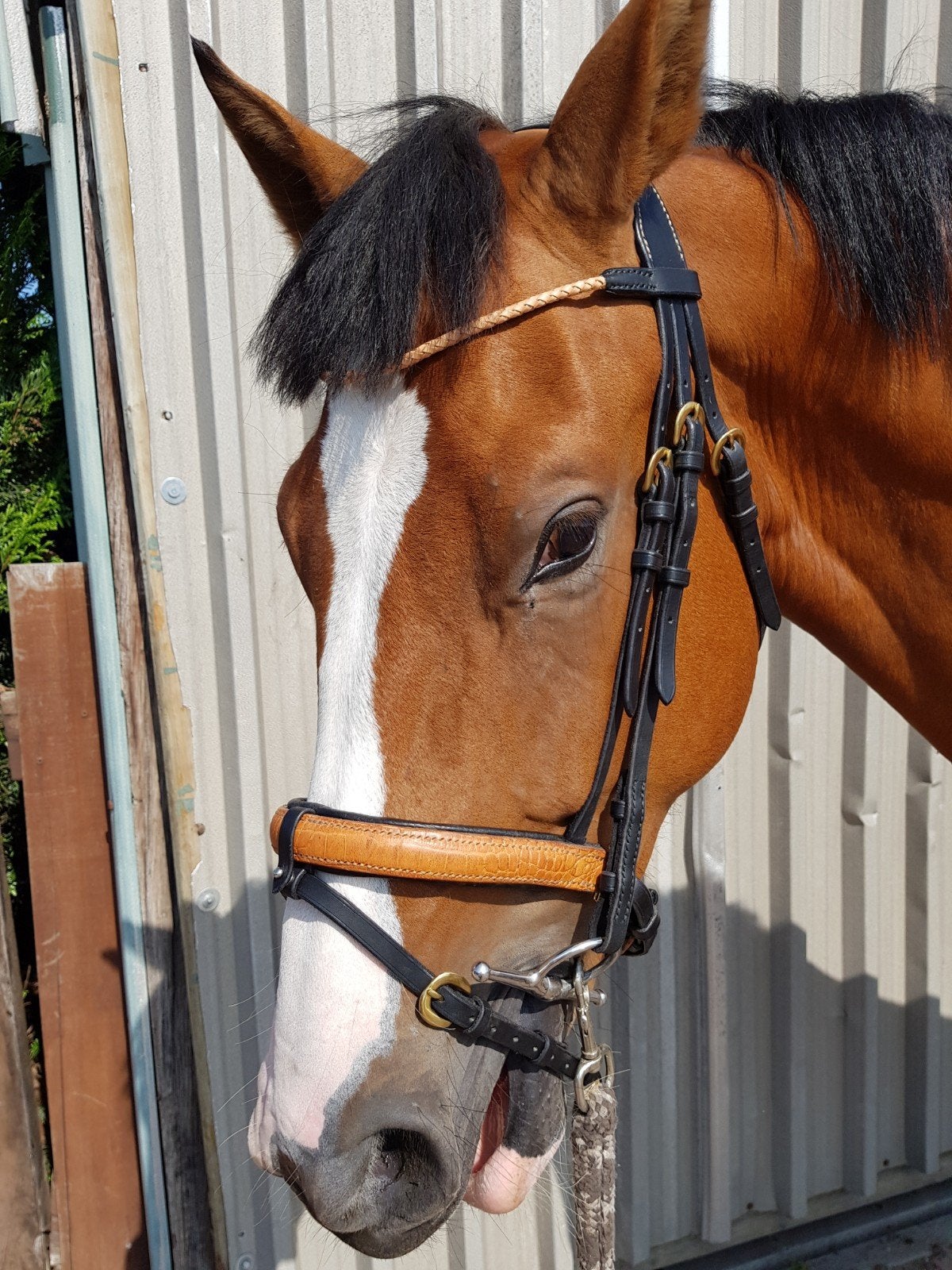 NIEUW hoofdstel, Ophalen, Handgemaakt, Hoofdstel, Full