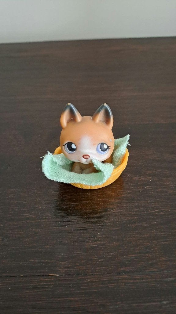 Littlest petshop, Verzamelen, Ophalen of Verzenden, Zo goed als nieuw