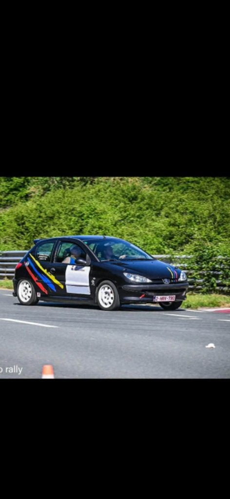 Peugeot 206 gti rallye !! Circuit..., 100 kW, Particulier, 2000 cm³, Achat