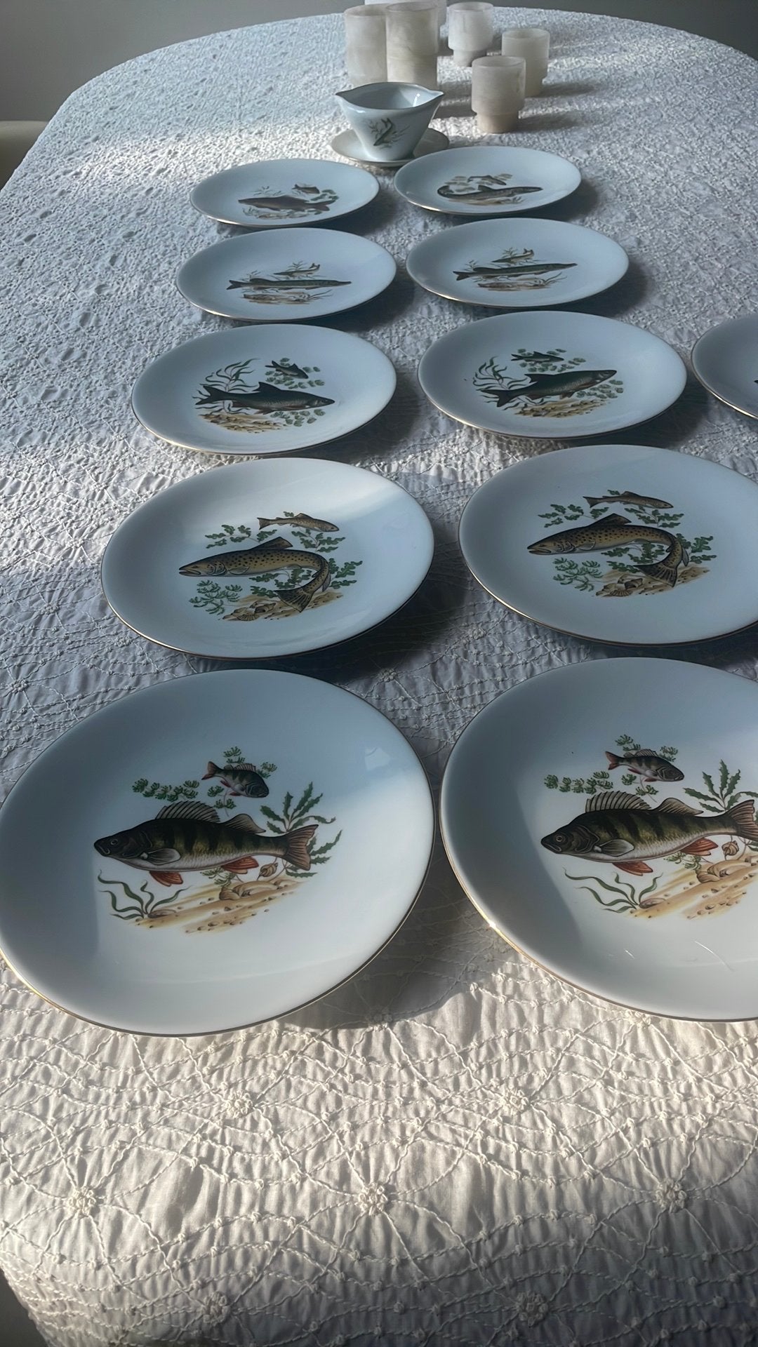 Antiek visservies, Ophalen