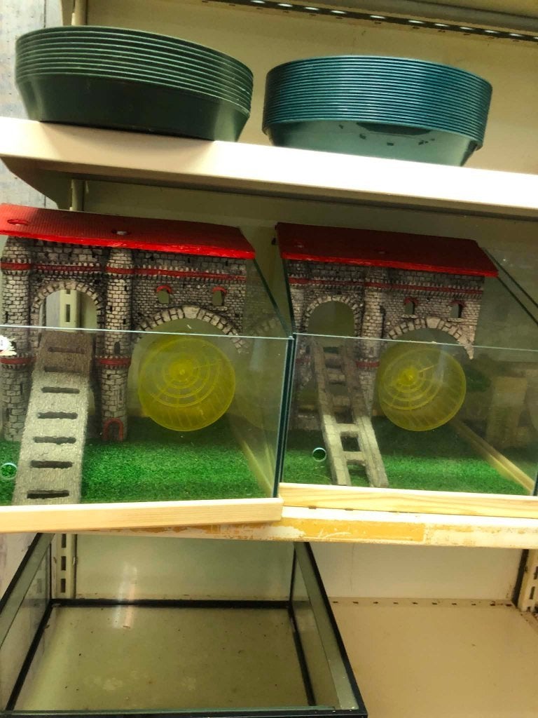 hamsterkooi, Ophalen, Nieuw, Kooi, Hamster