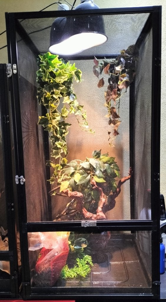 Exo terra gaas terrarium, Enlèvement, Comme neuf, Terrarium ou Paludarium