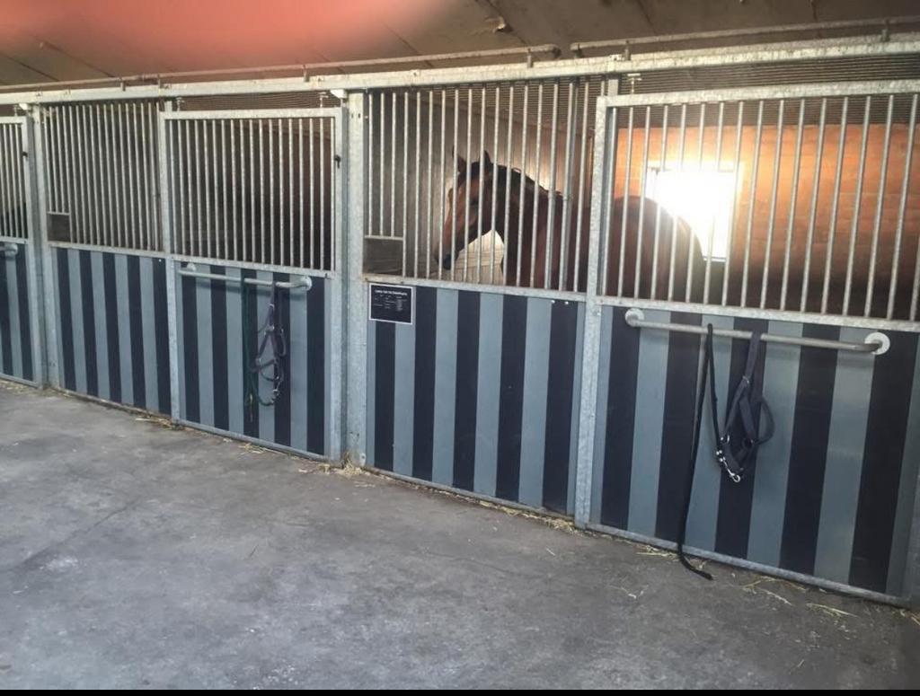 Paarden stallen, Dieren en Toebehoren, Stalling en Weidegang, Stalling, Weidegang, 2 of 3 paarden of pony's