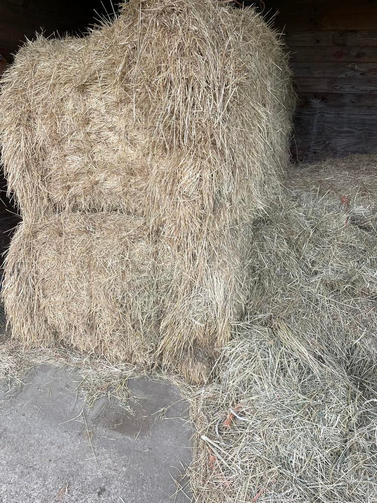 2 grote pakken hooi, Dieren en Toebehoren, Ophalen, Vee