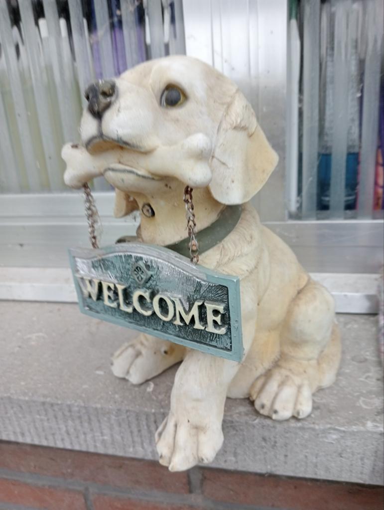 Welkom honden beeld, Dieren en Toebehoren, Hondenkleding, Ophalen of Verzenden