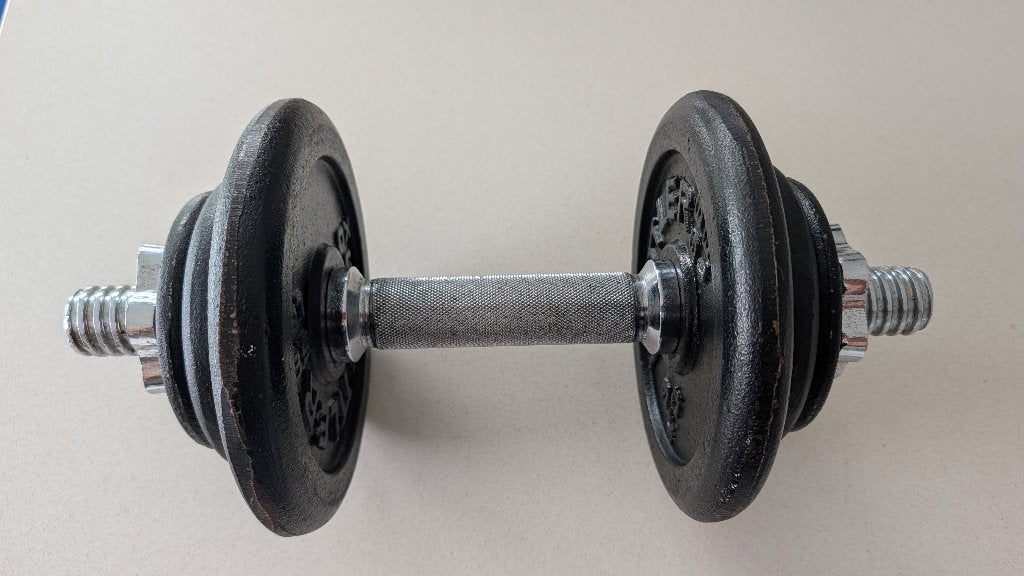 Dumbell Kettler 10 Kg, Sport en Fitness, Ophalen, Zo goed als nieuw, Armen, Dumbbell