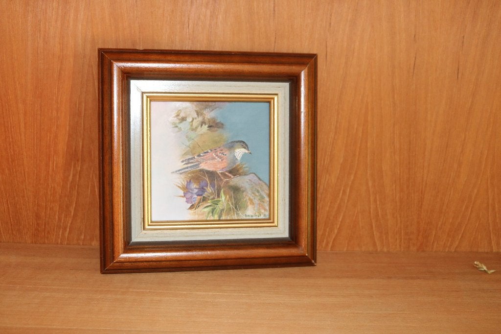 schilderij 'vogel' van Herschap A., Ophalen, Minder dan 50 cm, Gebruikt, Oorspronkelijke maker