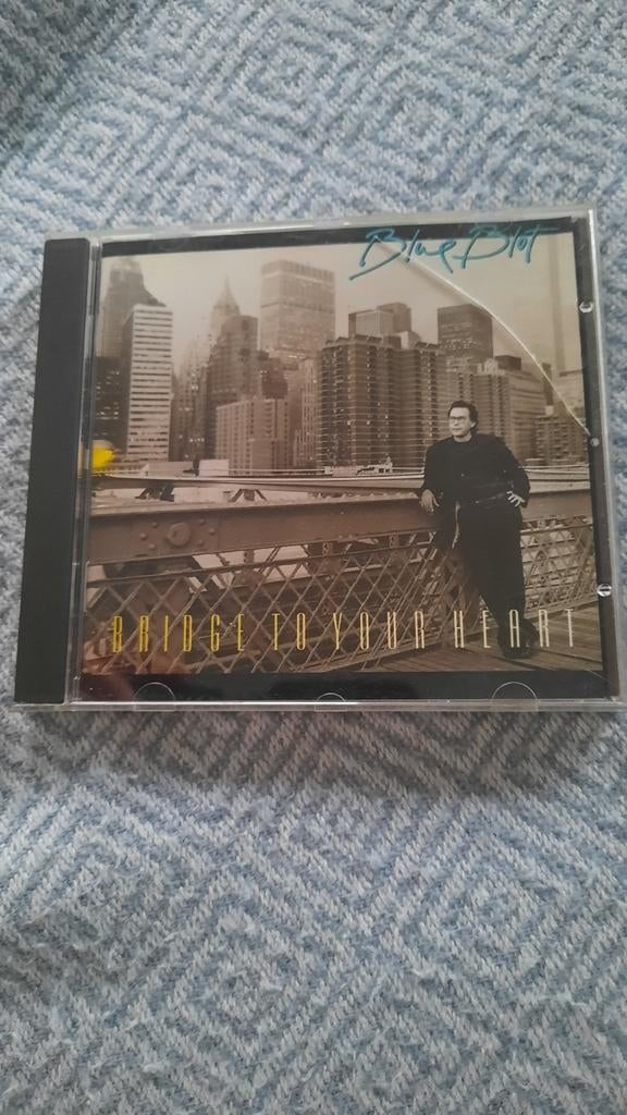 BLUE BLOT Bridge to your heart (cd), Cd's en Dvd's, Ophalen of Verzenden, 1980 tot heden, Zo goed als nieuw, Blues