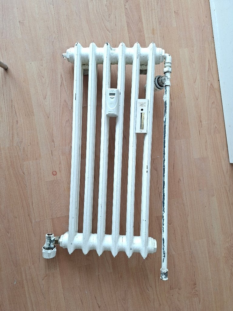 Radiateur en fonte, Moins de 60 cm, Enlèvement, Utilisé, Radiateur