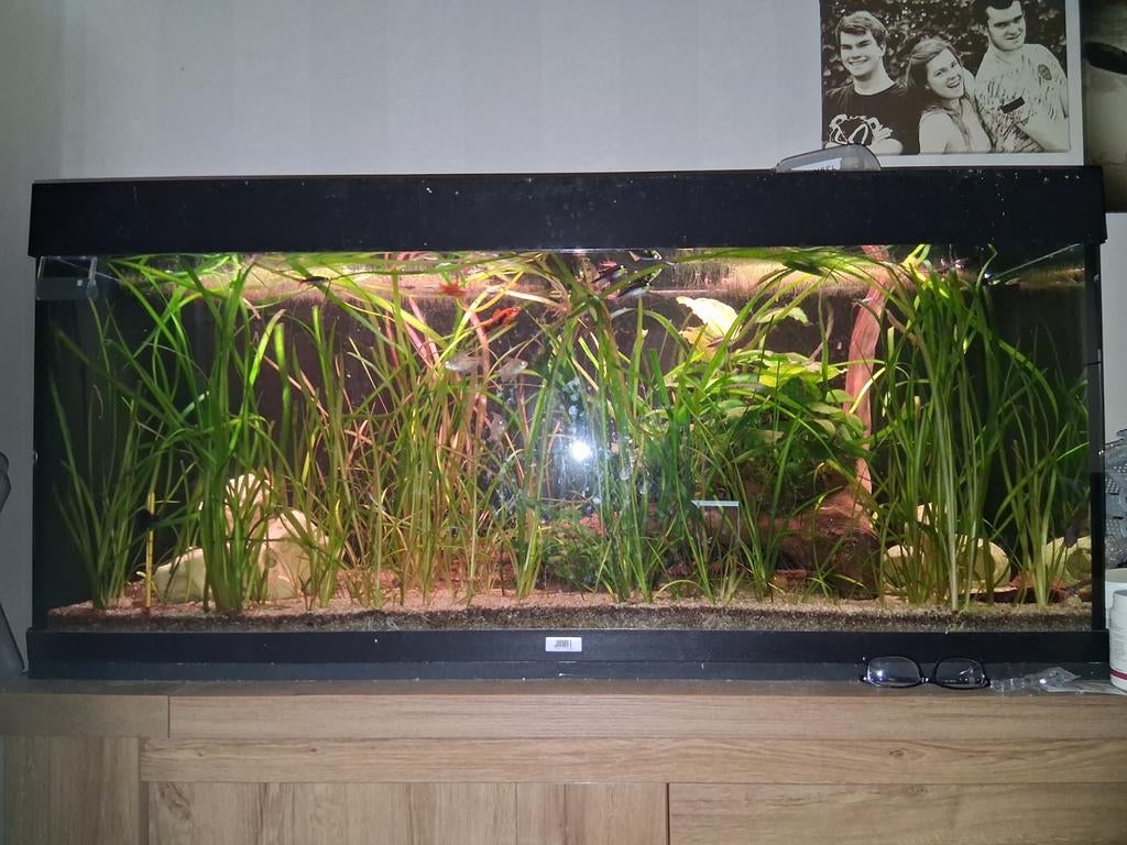 Juwel 1meter 20 54cm hoogte.40 breet, Enlèvement