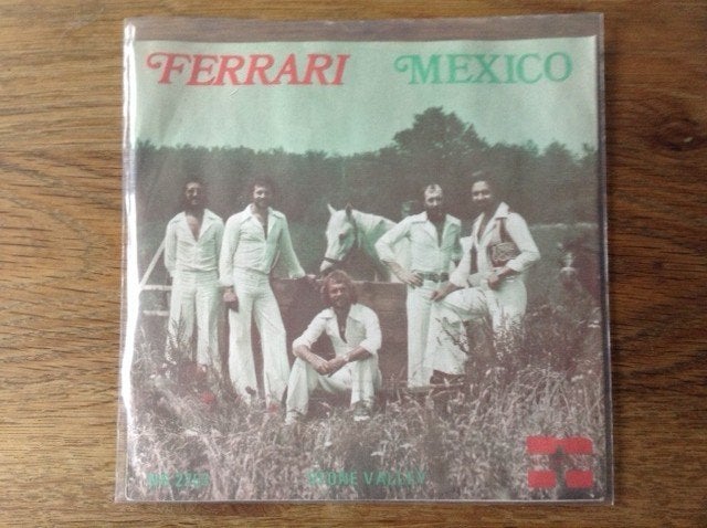 single ferrari, 7 inch, Ophalen of Verzenden, Beschermende buitenhoes, Rock en Metal