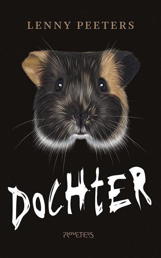 Te Koop Boek DOCHTER Lenny Peeters, België, Ophalen of Verzenden, Zo goed als nieuw, Lenny Peeters