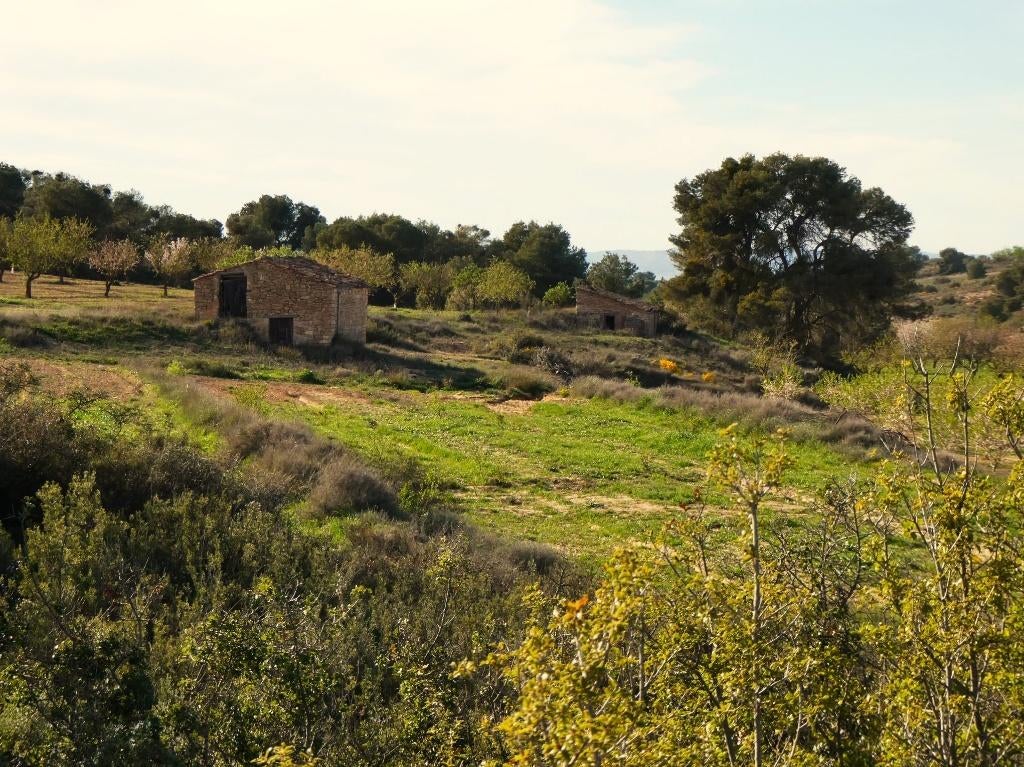Finca in Mequinenza (Aragón, Spanje) - 1115, 167 m², Overige soorten, Spanje, Landelijk