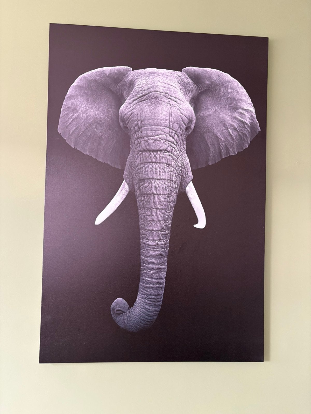 Canvas olifant, Huis en Inrichting, Ophalen, Zo goed als nieuw