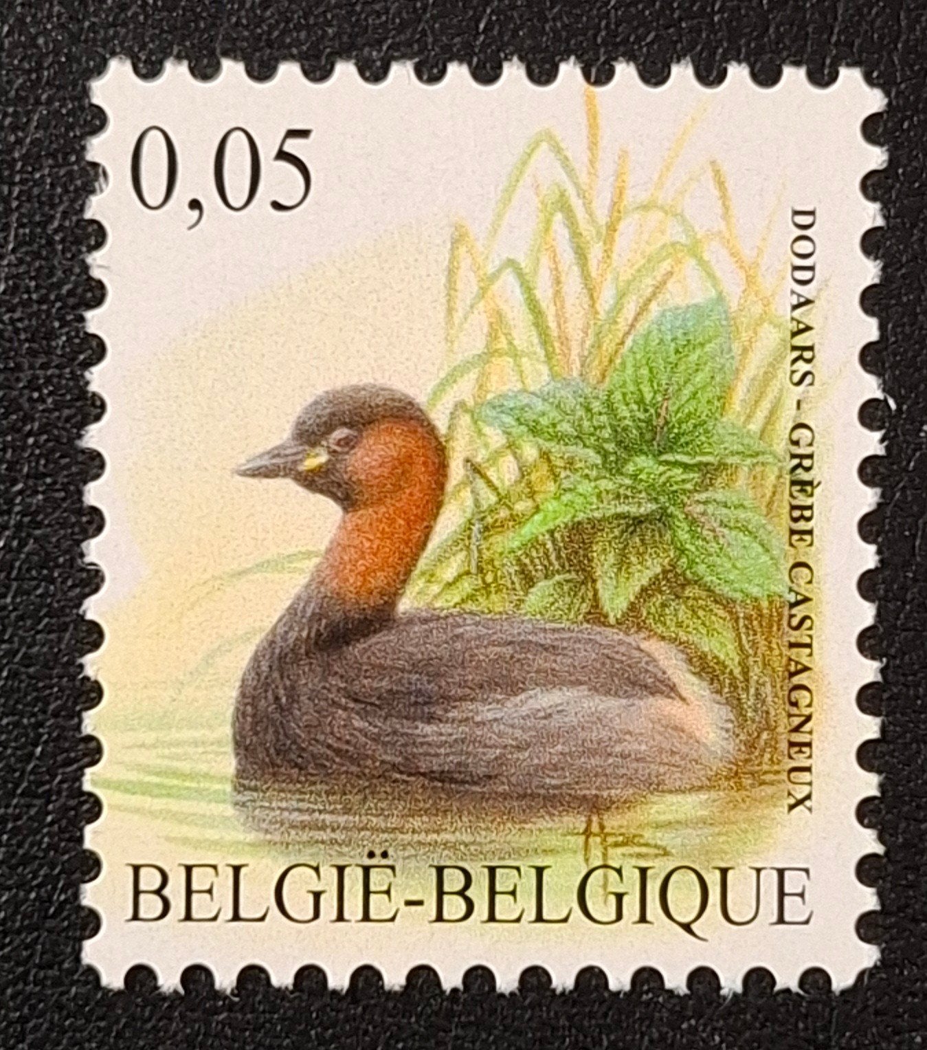 België: OBP 3993 ** Vogels 2010., Frankeerzegel, Ophalen of Verzenden, Zonder stempel, Postfris