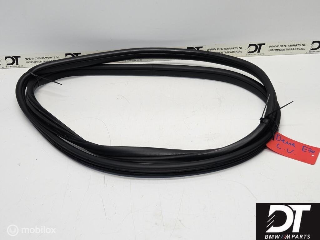 Deurrubber voor BMW X5 E70 51767220381, Gebruikt, Ophalen of Verzenden, BMW, BMW