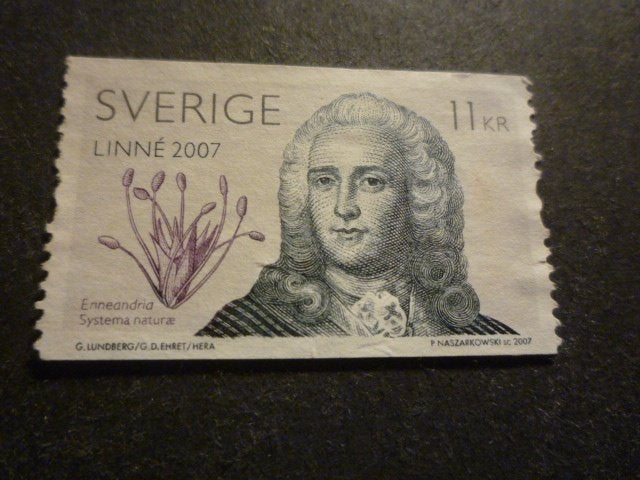 Zweden/Suède 2007 Mi 2572(o) Gestempeld/Oblitéré, Postzegels en Munten, Postzegels | Europa | Scandinavië, Verzenden, Zweden