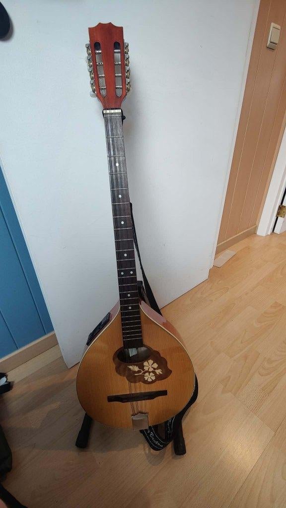 ierse bouzuki, Musique & Instruments, Instruments à corde | Autre, Enlèvement, Comme neuf, Luth, Saz ou Bouzouki
