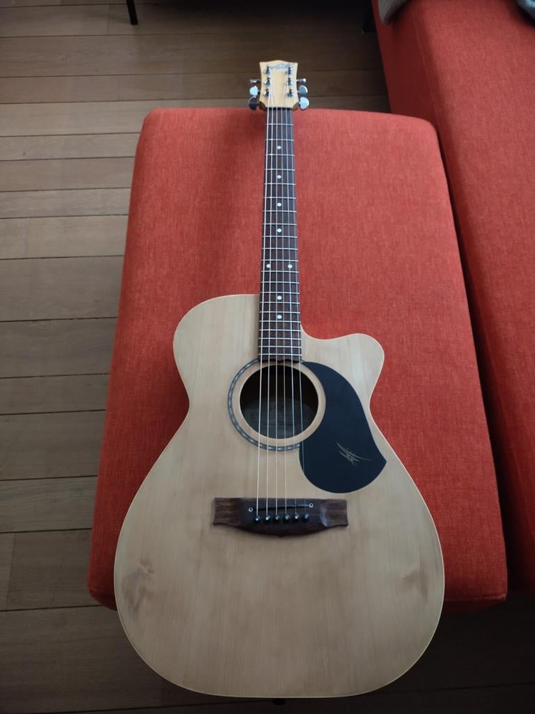 Maton EBG808CL de 2010., Enlèvement