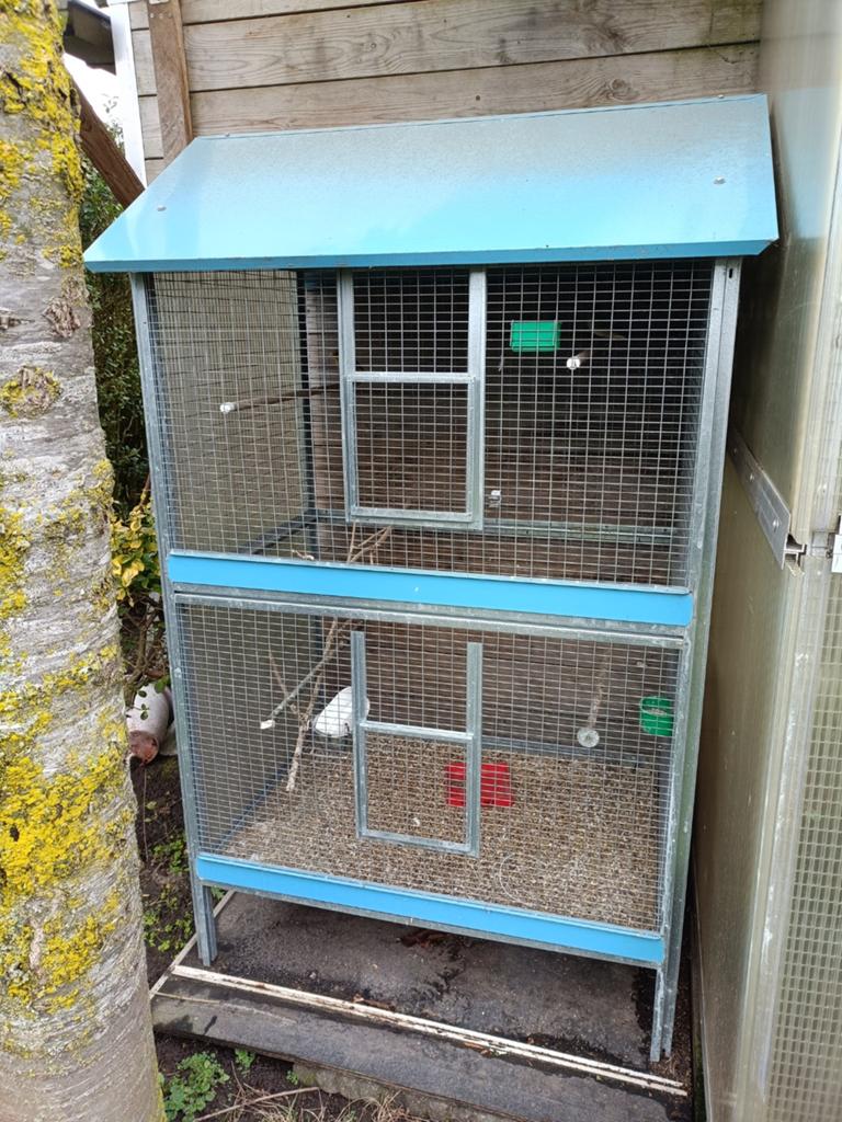 Vogelkooi - voliere, Dieren en Toebehoren, Vogels | Hokken en Kooien, Ophalen, Vogelkooi
