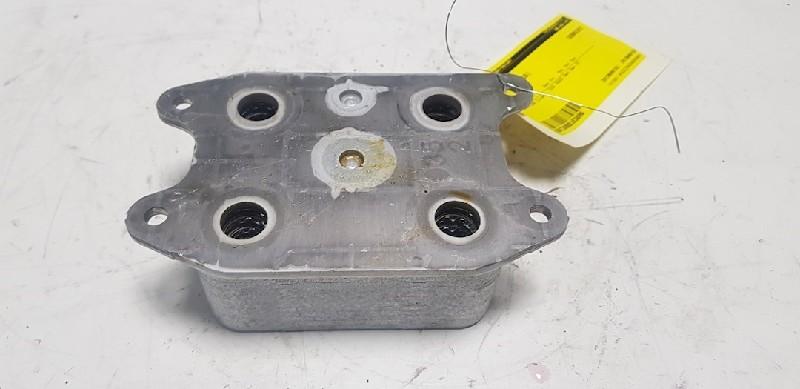 REFROIDISSEUR HUILE Tiguan (AD1) (|04E117021K|04E117021L|), Utilisé, Volkswagen