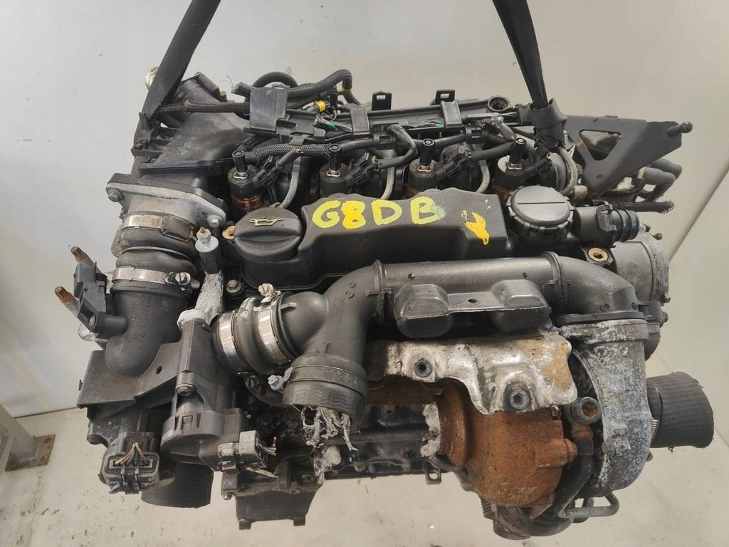 Moteur G8DB Complet FORD FOCUS