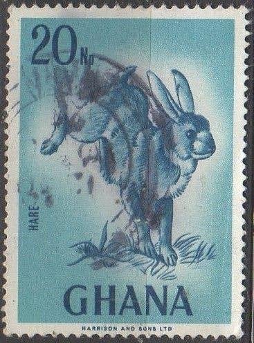Ghana - Kaapse haas - 1967, Ophalen of Verzenden, Gestempeld