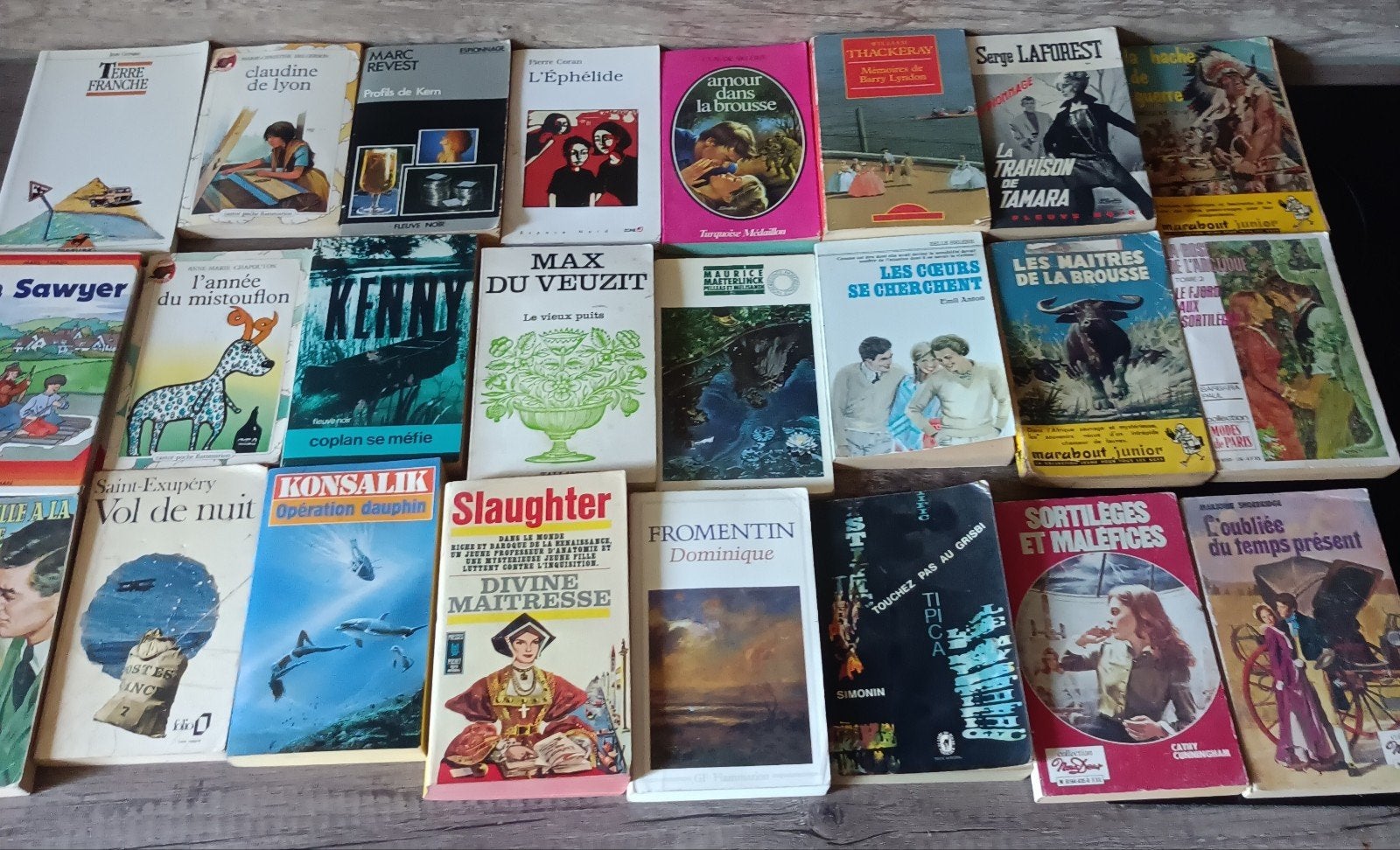 lot de 24 livres de poche d occasion, Enlèvement ou Envoi