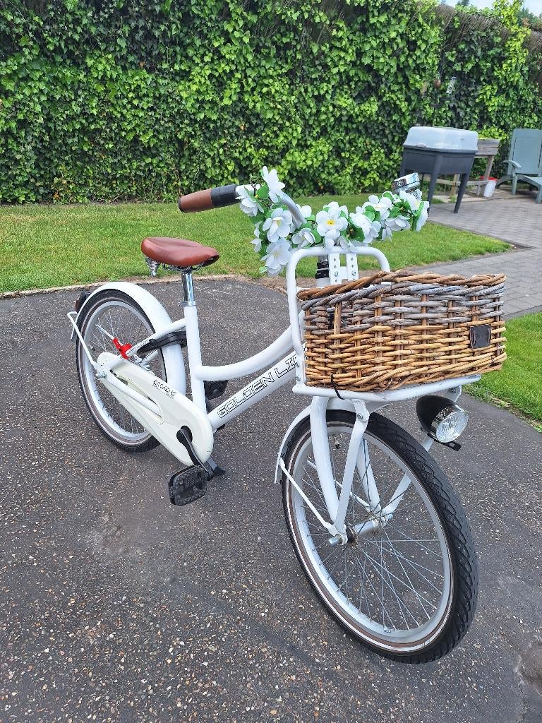 Meisjesfiets 20 inch, Fietsen en Brommers, Ophalen, Gebruikt, Terugtraprem, 20 inch