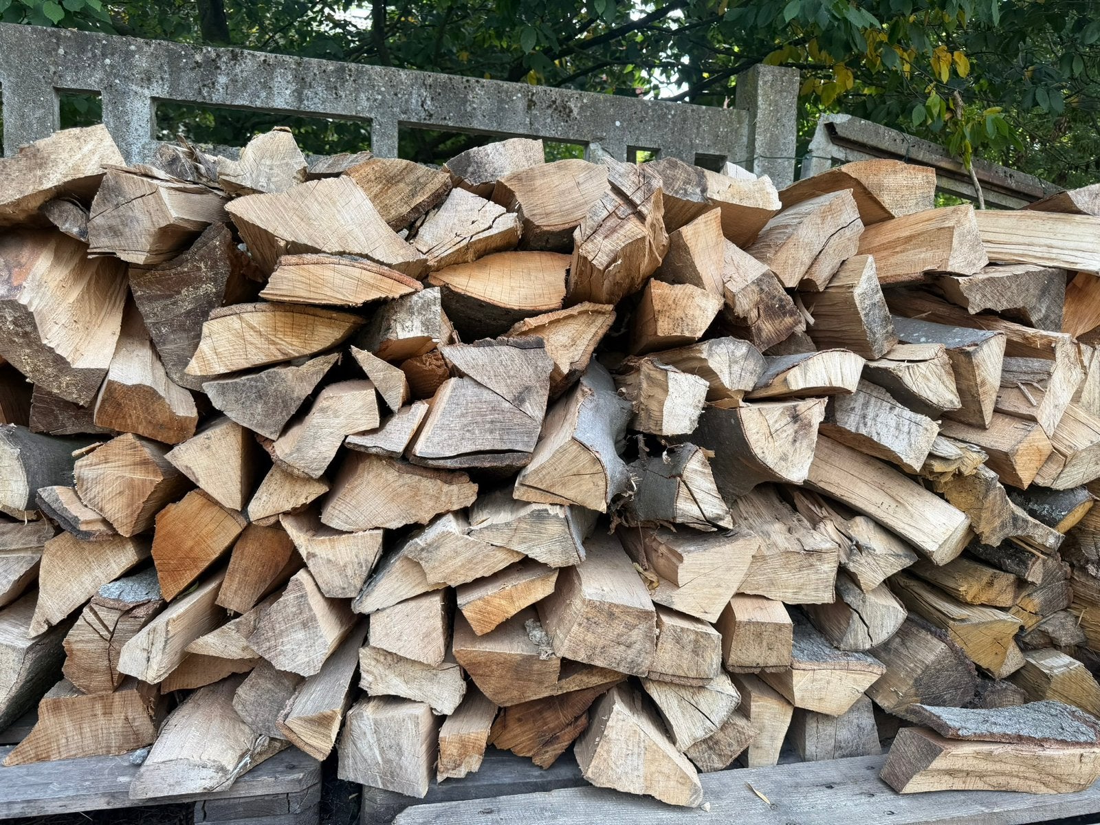 Bois de chauffage, Enlèvement, Hêtre