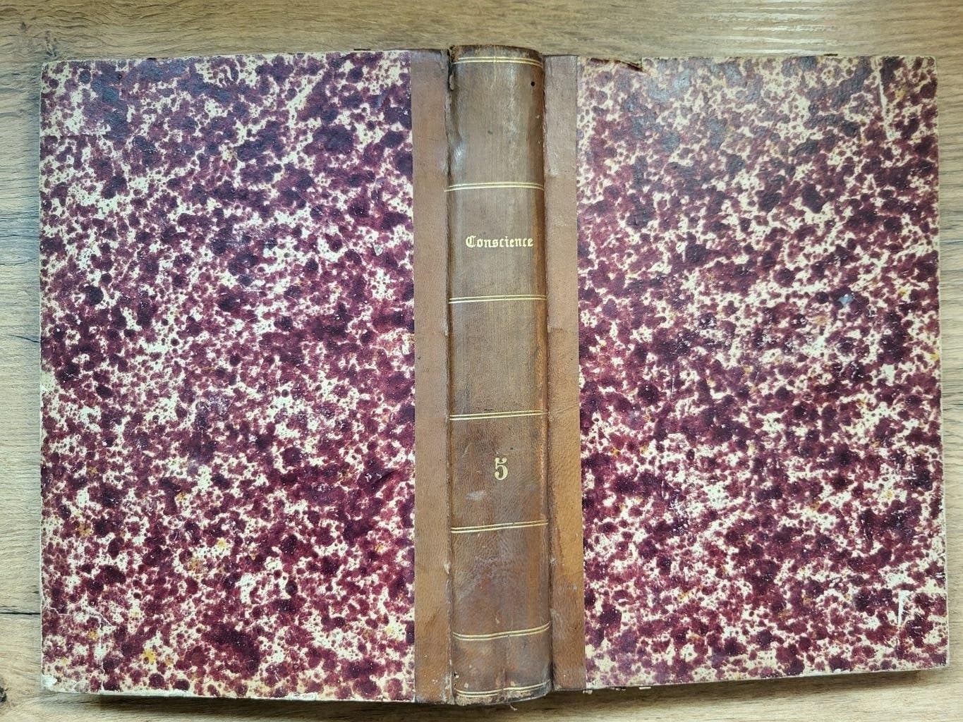 nr 5 van De volledige werken van Conscience uit 1885, Boeken, Literatuur, Ophalen of Verzenden, Gelezen