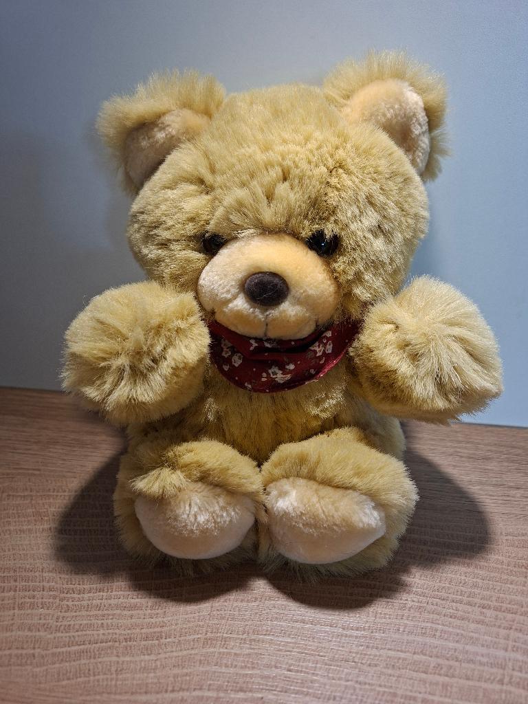 Knuffelbeer met sjaaltje, Kinderen en Baby's, Speelgoed | Knuffels en Pluche, Overige merken, Overige karakters, Beer, Ophalen of Verzenden