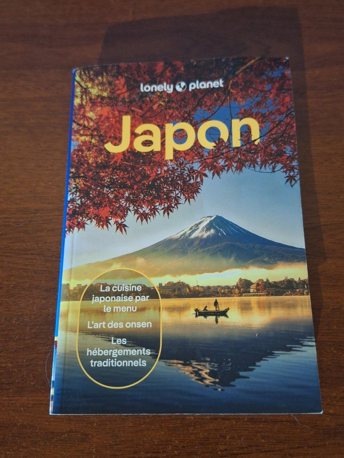 Japon - Guide Touristique, Boeken, Reisgidsen, Ophalen, Lonely Planet, Budget, Zo goed als nieuw