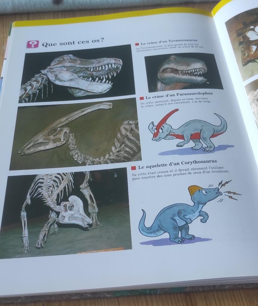 Les enfants découvrent les dinosaures, Livre à déplier, Comme neuf, Enlèvement, Time Life Jeunesse