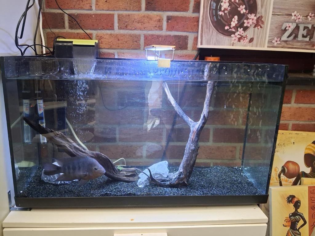 Aquarium complet 80/45/30, Animaux & Accessoires, Enlèvement, Utilisé