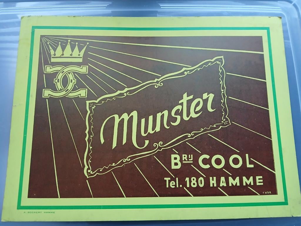 Reclamebord Muster, Brouwerij Cool, Hamme, Ophalen of Verzenden, Zo goed als nieuw, Reclamebord, Plaat of Schild, Overige merken