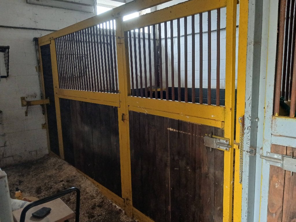 Box de chevaux à vendre, Mise à l'étable, 4 chevaux ou poneys ou plus