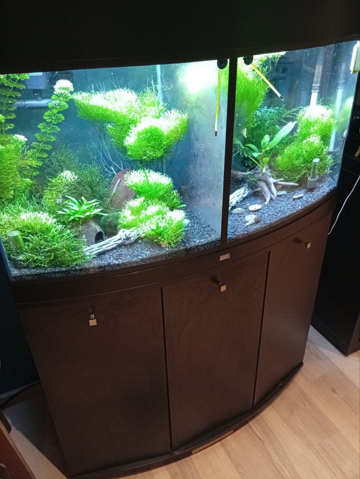 Juwel vision 190 met helialux en smart controle, Enlèvement, Couvercle inclus, Filter, Juwel
