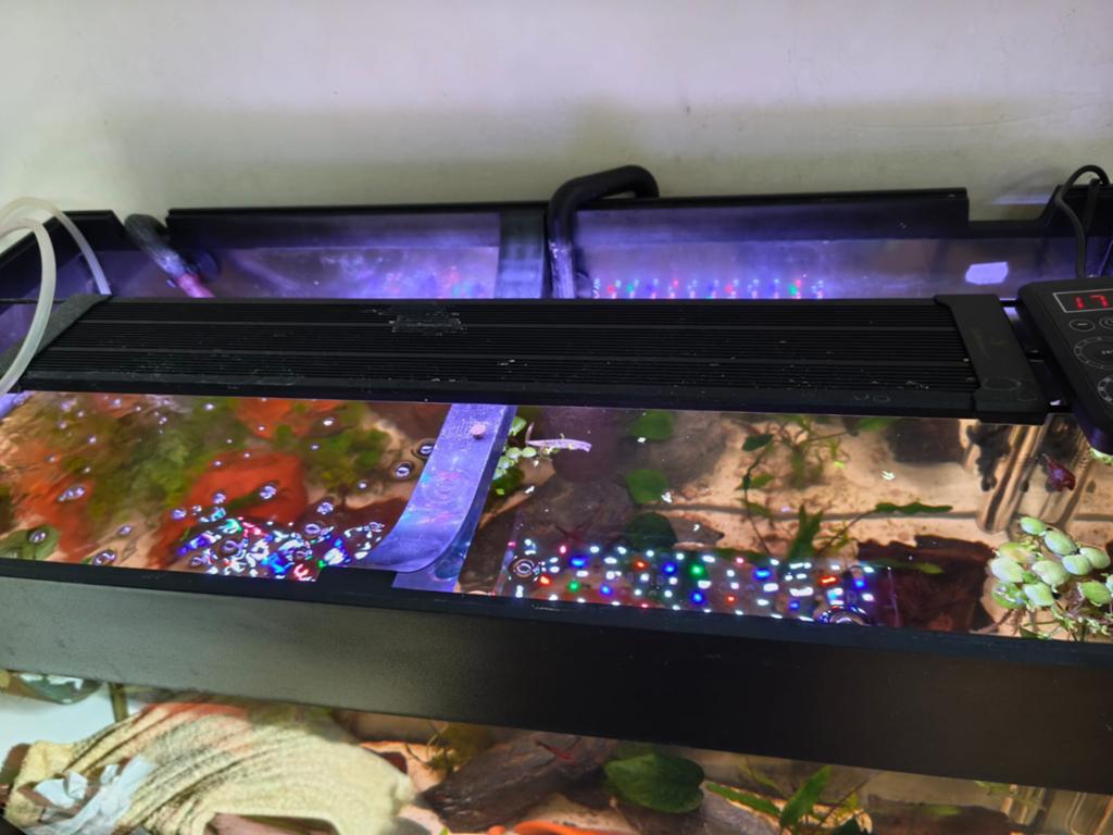 Lampe led aquarium, Dieren en Toebehoren, Vissen | Aquariumvissen