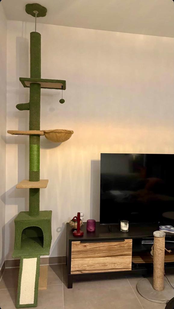 Groene cactus krabpaal plafondhoogte verstelbaar 210-274cm, Enlèvement ou Envoi, Comme neuf, Griffoir