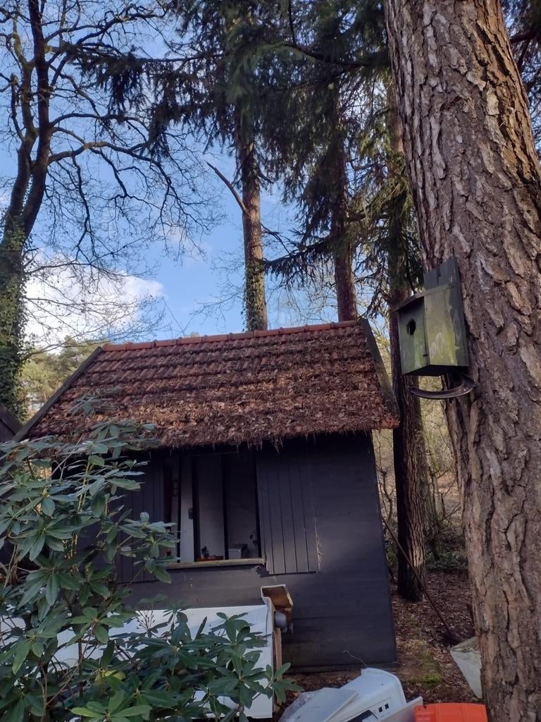 Tuinberging 3mx3m : GRATIS zelf te demonteren, Ophalen
