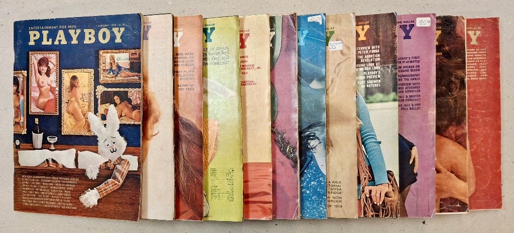 PLAYBOY tijdschriften - volledige jaargang 1970 - engels, Verzamelen, Ophalen, 1960 tot 1980, Tijdschrift